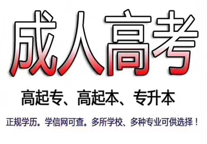 如何高效进行职业规划？