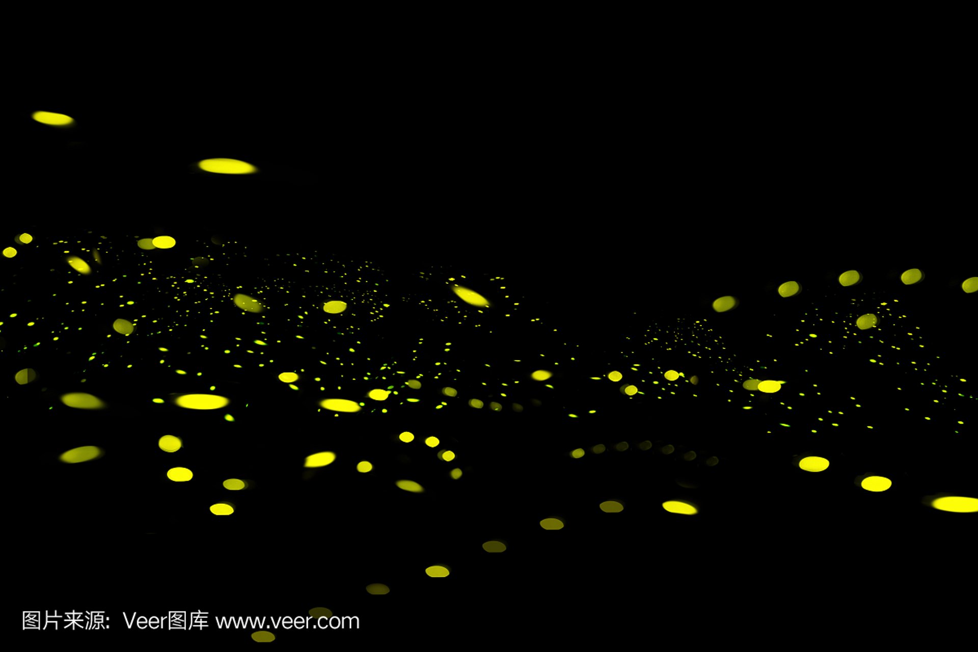 萤火教育咨询
